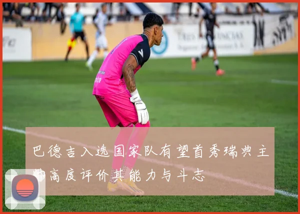 巴德吉入选国家队有望首秀瑞典主帅高度评价其能力与斗志
