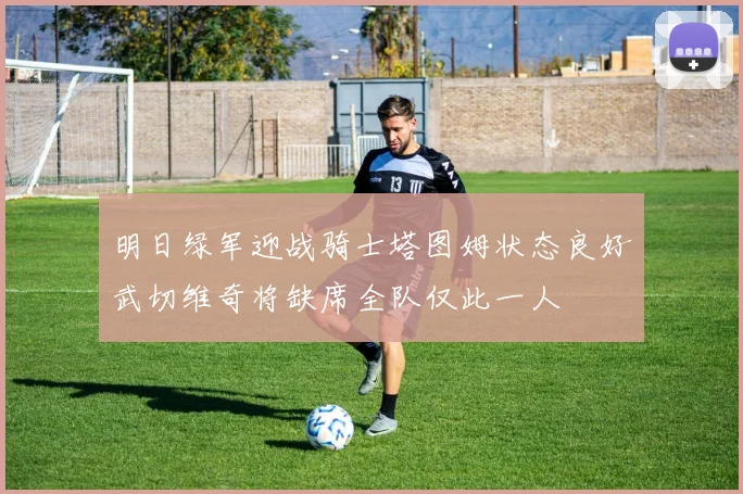 明日绿军迎战骑士塔图姆状态良好武切维奇将缺席全队仅此一人