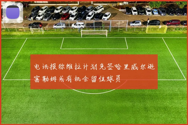 电讯报称维拉计划免签哈里威尔逊富勒姆或有机会留住球员