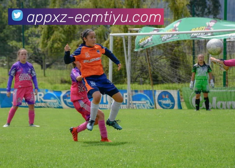 易倍体育服务体系