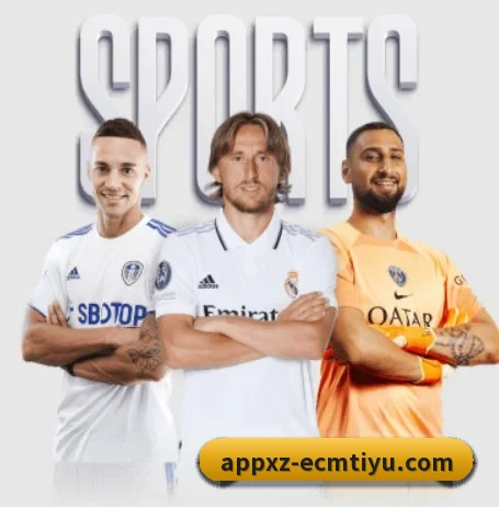 从比分速递到赛后复盘的完整链路 - EMCSPORTS